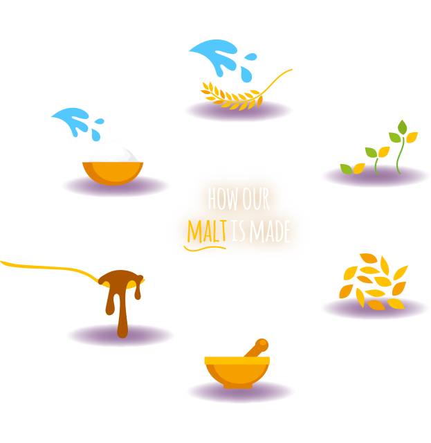 How our malt is made life cycle